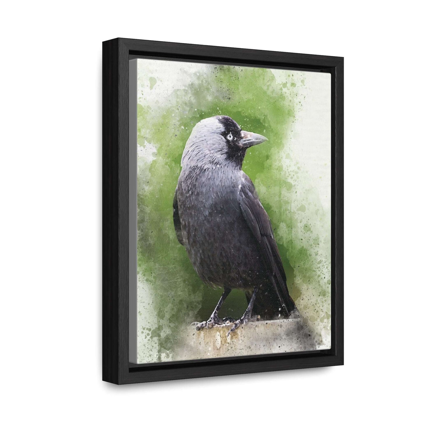 Adult Jackdaw Canvas PrintOur adult Jackdaw canvas print showcases a stunning depiction of the jackdaw bird. The high-quality canvas and vibrant colors make for a beautiful and unique addition to any room. Bring nature indoors and elevate your home decor