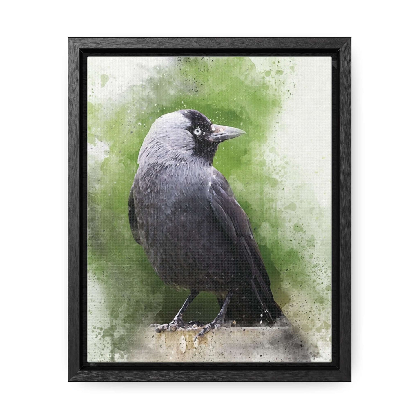 Adult Jackdaw Canvas PrintOur adult Jackdaw canvas print showcases a stunning depiction of the jackdaw bird. The high-quality canvas and vibrant colors make for a beautiful and unique addition to any room. Bring nature indoors and elevate your home decor